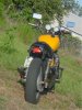 dsc00096.jpg