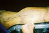 9838-r1-06-4a.jpg