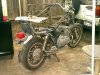 yam81rs.jpg