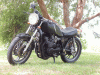 p1013867smallweb.gif