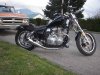 feb 07 509b.jpg