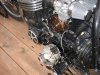blown 1.jpg
