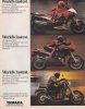 85lineup - right (393x499).jpg