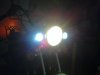 newfogs3.jpg