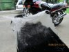 front guard glassed.jpg