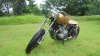 bobber.jpg