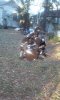 20151118_162047.jpg