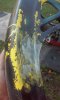 20151118_162223.jpg