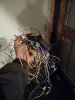 FB_IMG_1459786335744.jpg