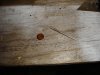 dsc09295.jpg