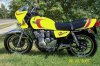 yellow seca.jpg