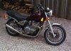 750_maxim_b.jpg