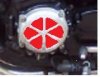 crank cover.jpg