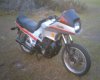 xj bikes018_300_240.jpg