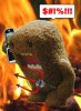 dk2.jpg