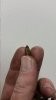 20170122_144240.jpg