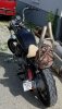 20170709_095736.jpg