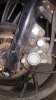 20170917_084144.jpg