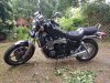 IMG_20180529_161732.jpg