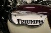 triumph_badge.jpg