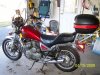 bike with trunk smaller.jpg