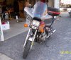 bike with trunk 4 small.jpg