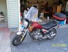 bike with trunk 2 small.jpg