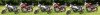 2-xjs-string.jpg