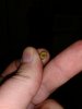 IMG_20190727_061046999.jpg