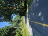 IMG_20190805_104356.jpg
