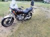 20200618_101927.jpg