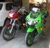 Scarlett_and_Fugu_in_garage_30SEP19_1000res.jpg