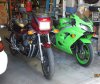 Scarlett_and_Fugu_in_garage_30SEP19-A_1000res.jpg