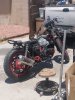 IMG_20200709_120536668.jpg