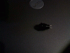 switch.gif