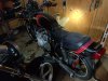 IMG_20220221_173339.jpg