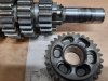 worn gear.jpeg