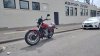 IMG_20250412_120129486.jpg