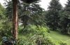IMG_7138.jpeg