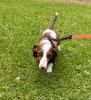 IMG_3060.jpeg