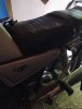 IMG_1053.jpeg