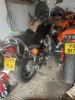 IMG_7764.jpeg