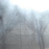 dsc00495.jpg