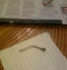 screw small.jpg