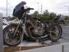 xj900n_5.jpg