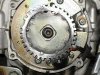seca36-1wheel2small.jpg