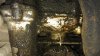 imag0073 (500x282).jpg