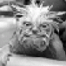 timataeo
