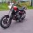 Calichris12078